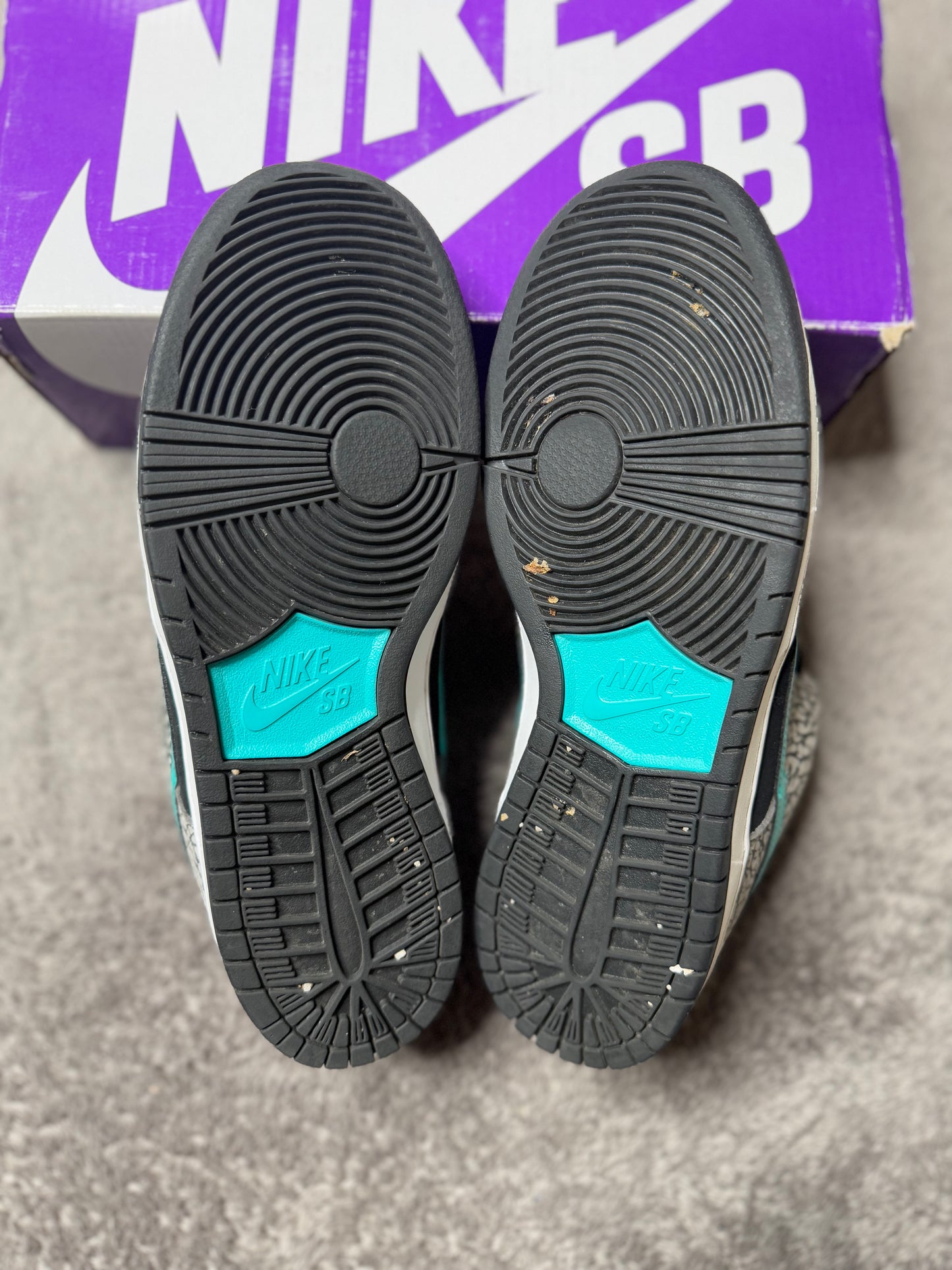 ATMOS ELEPHANT (8.5)