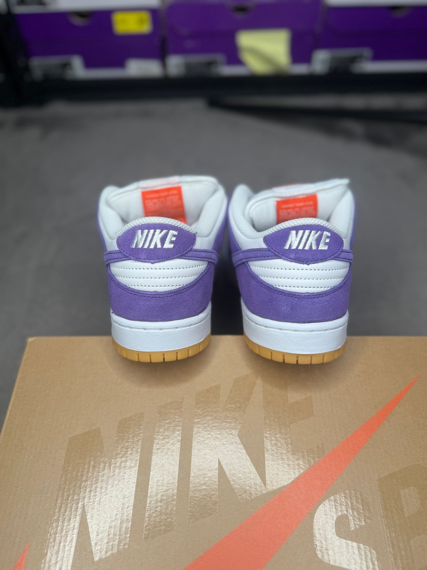 COURT PURPLE