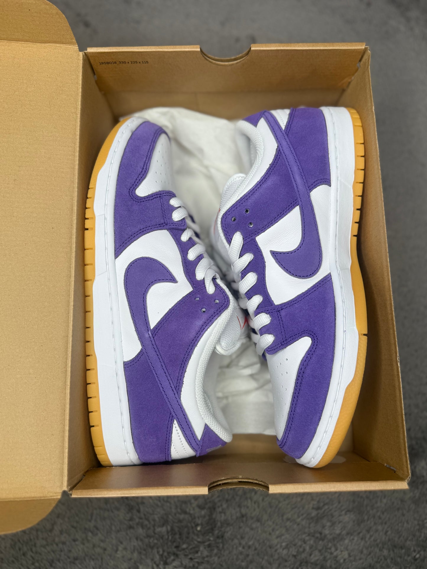 COURT PURPLE
