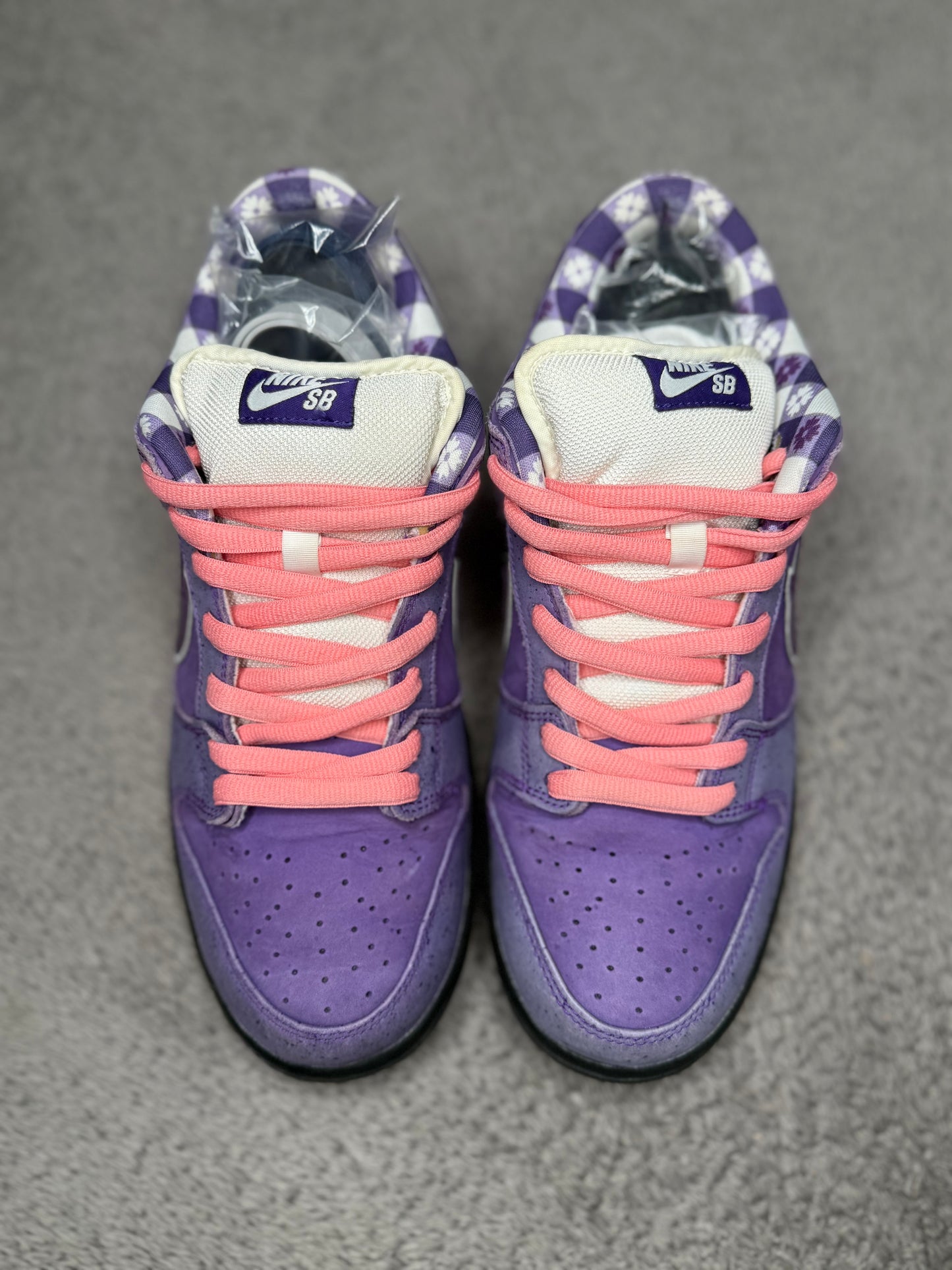 PURPLE LOBSTER