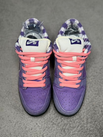 PURPLE LOBSTER