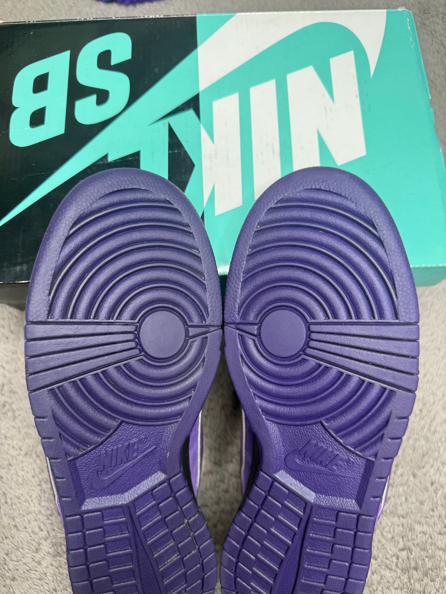 PURPLE LOBSTER