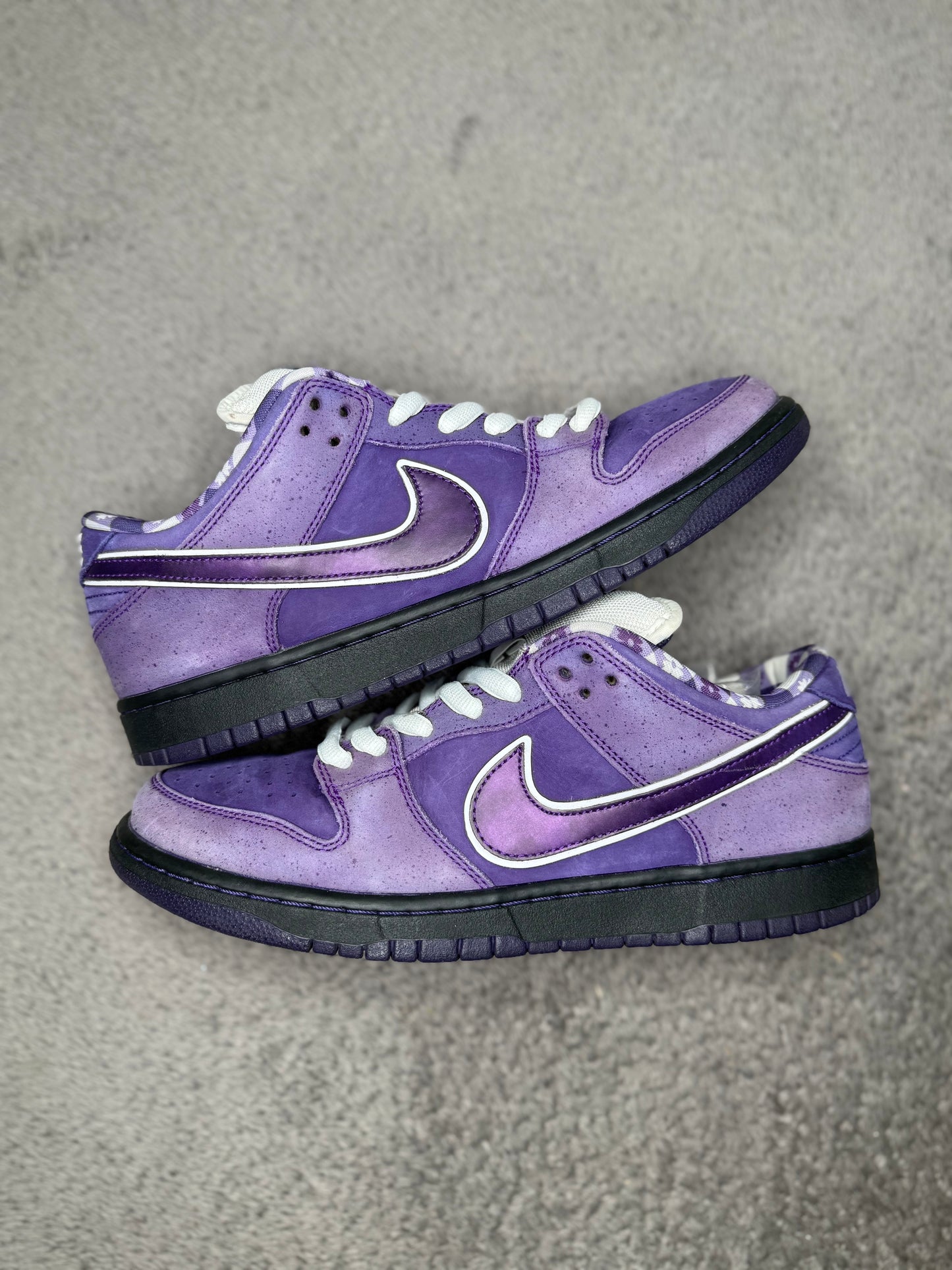 PURPLE LOBSTER