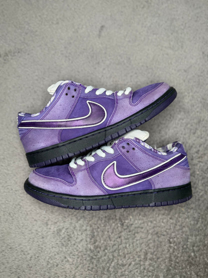 PURPLE LOBSTER