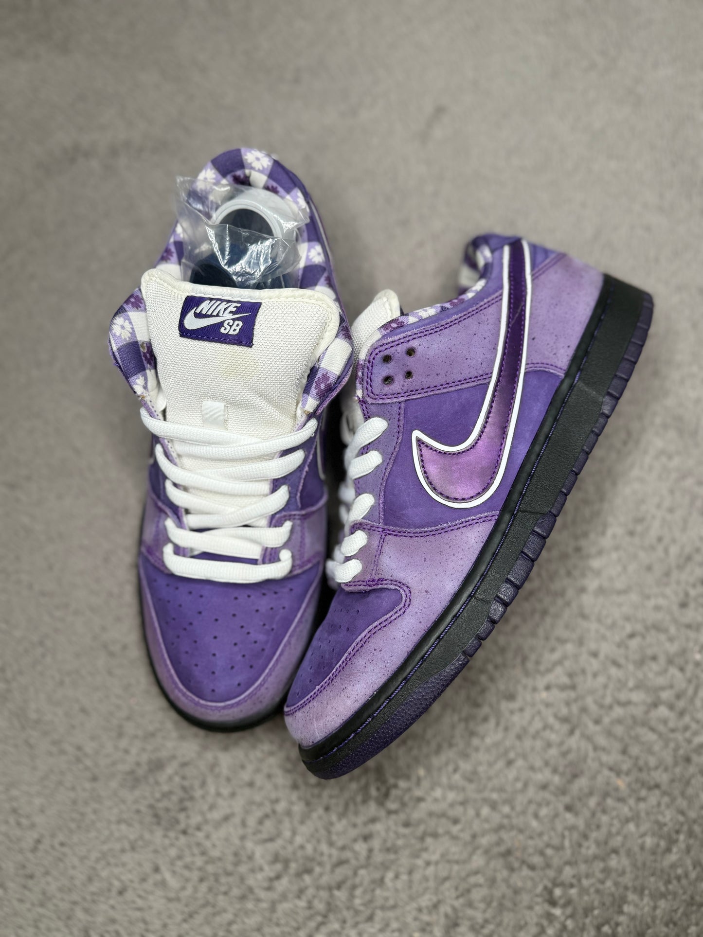 PURPLE LOBSTER