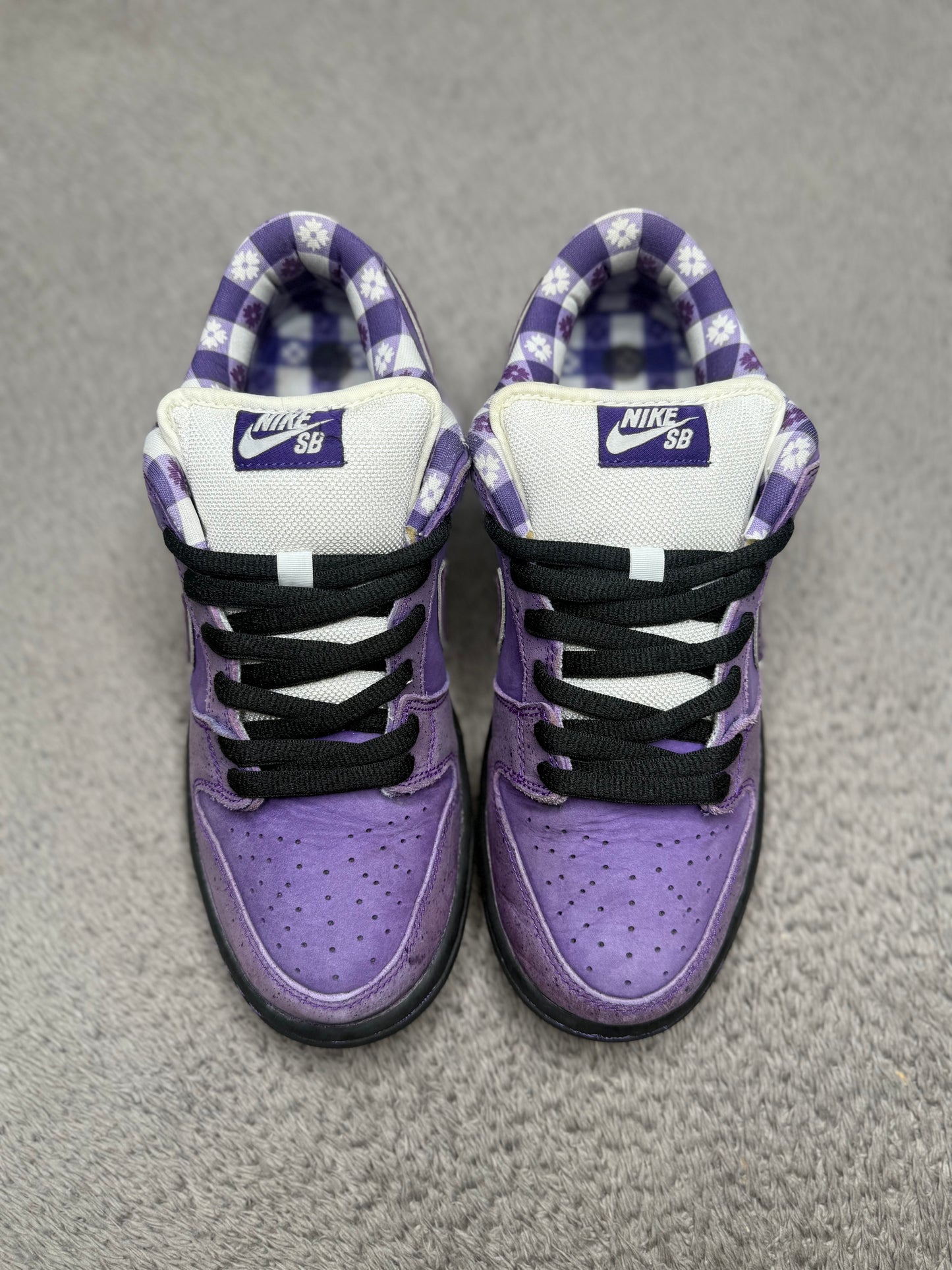 PURPLE LOBSTER