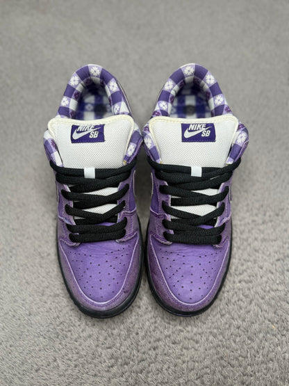 PURPLE LOBSTER