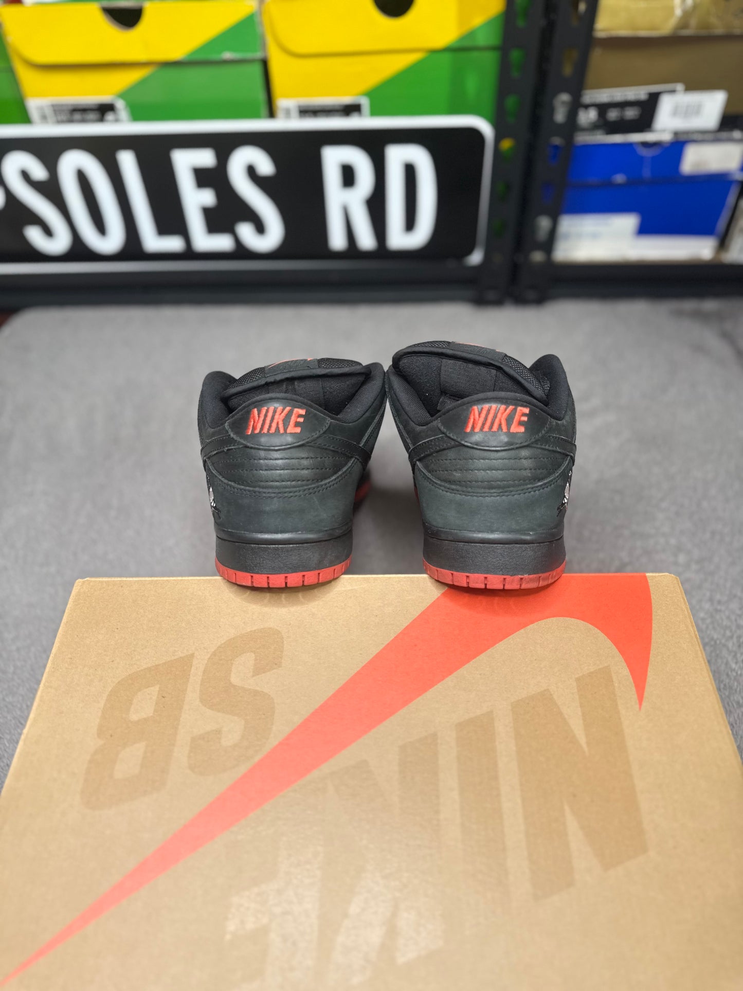 BLACK PIGEON (9.5)
