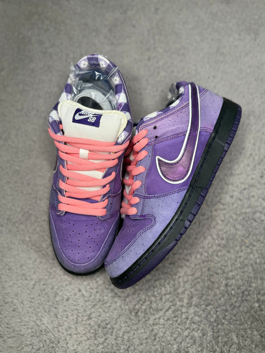 PURPLE LOBSTER