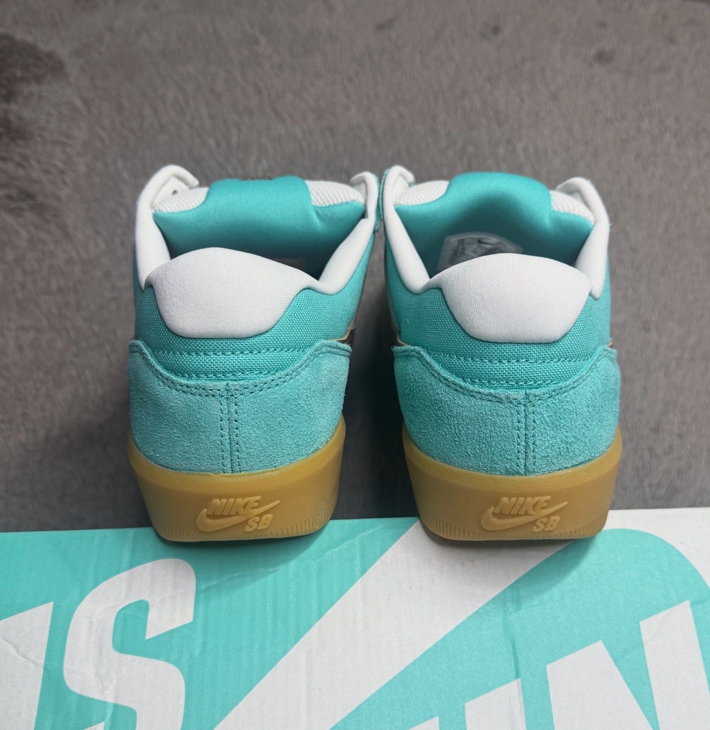 SB 58 DUSTY CACTUS (10)