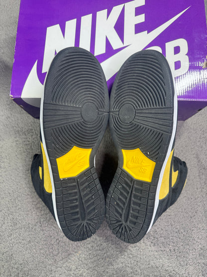 REVERSE GOLDENROD (13)