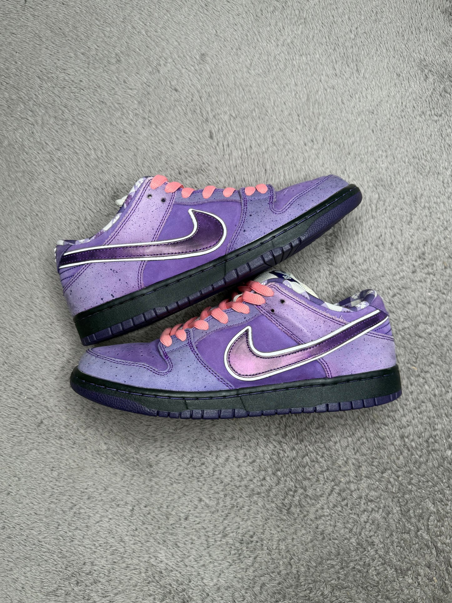 PURPLE LOBSTER