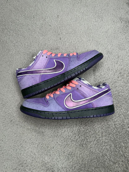 PURPLE LOBSTER