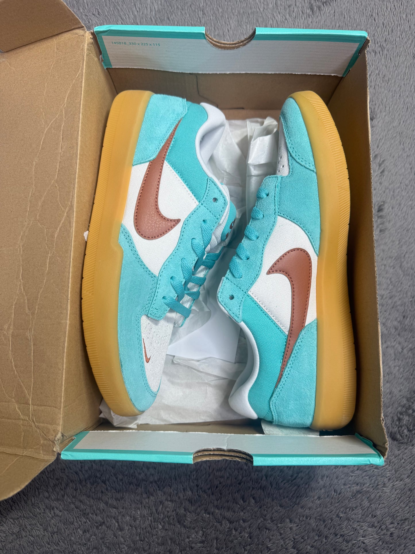 SB 58 DUSTY CACTUS (10)