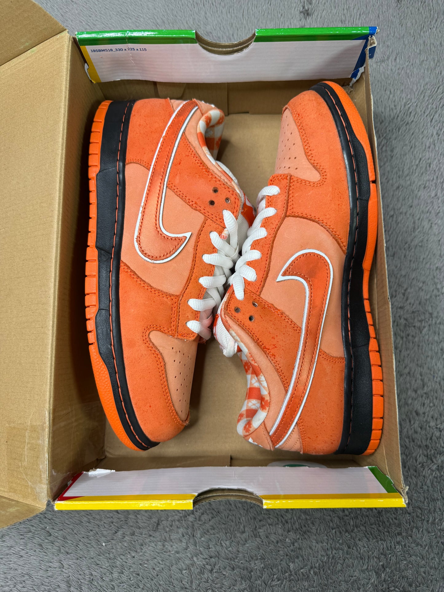 ORANGE LOBSTER (10)