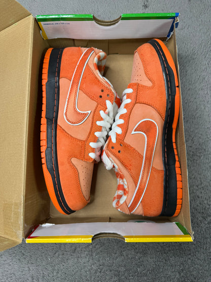 ORANGE LOBSTER (10)