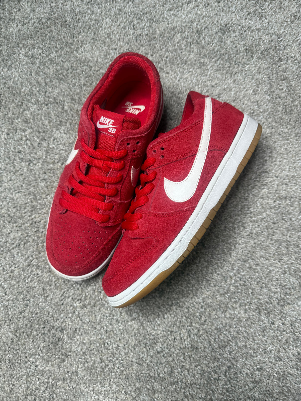 ISHOD RED (9)