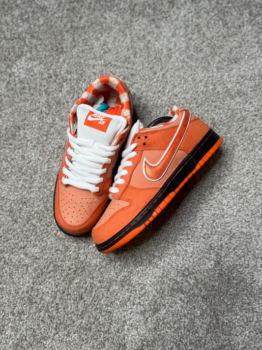 ORANGE LOBSTER (6)