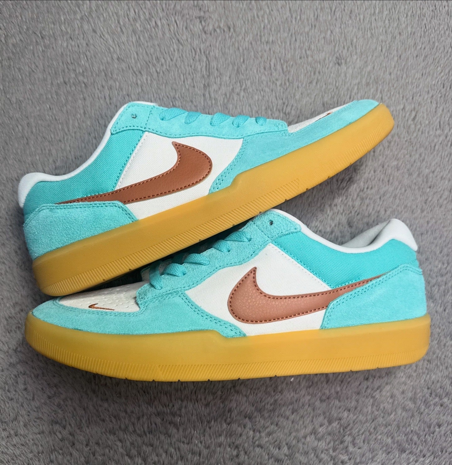 SB 58 DUSTY CACTUS (10)