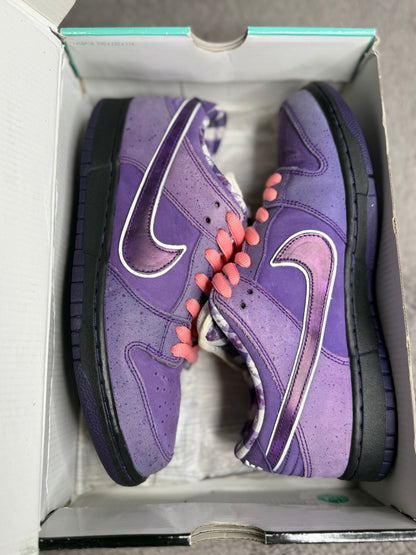 PURPLE LOBSTER