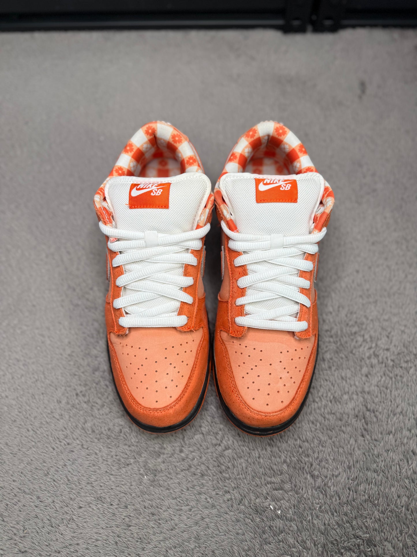ORANGE LOBSTER (10)