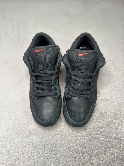 BLACK PIGEON (9.5)