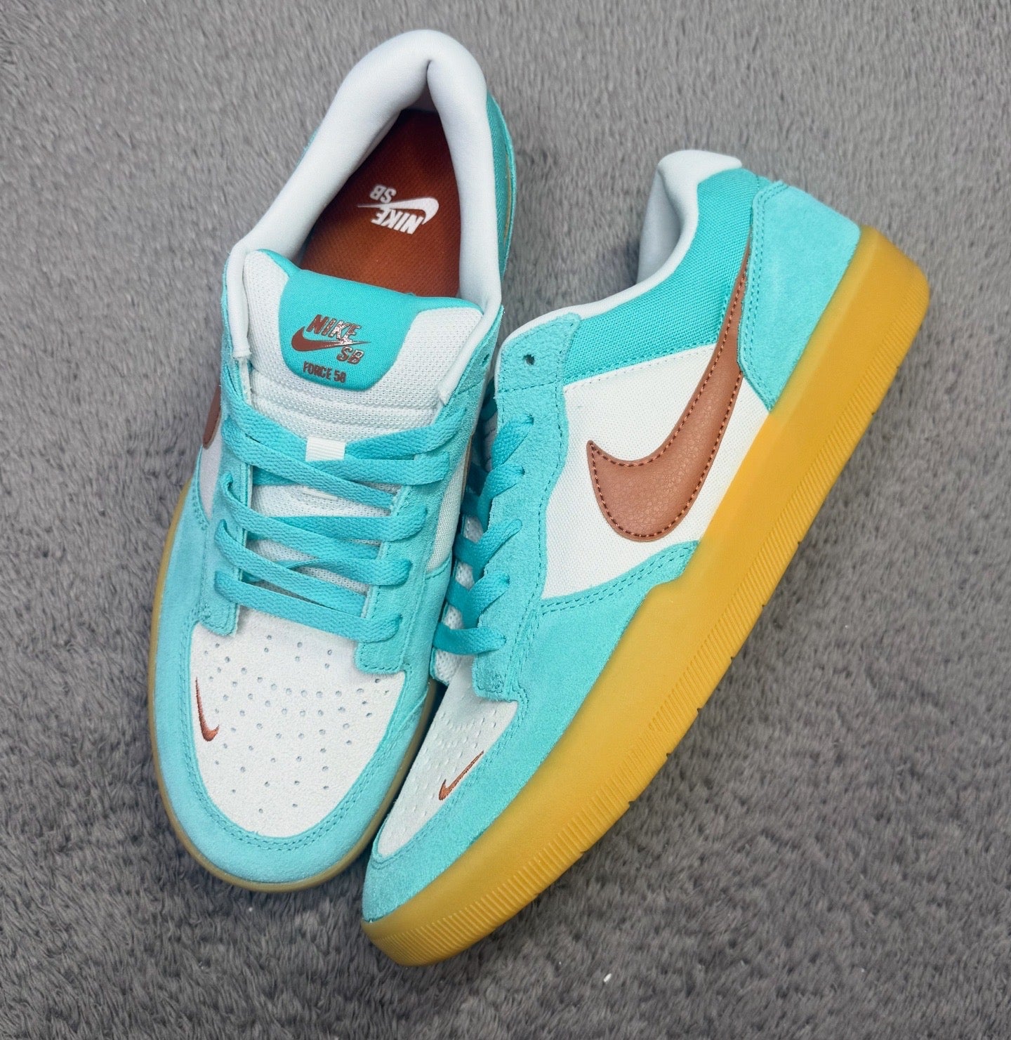 SB 58 DUSTY CACTUS (10)