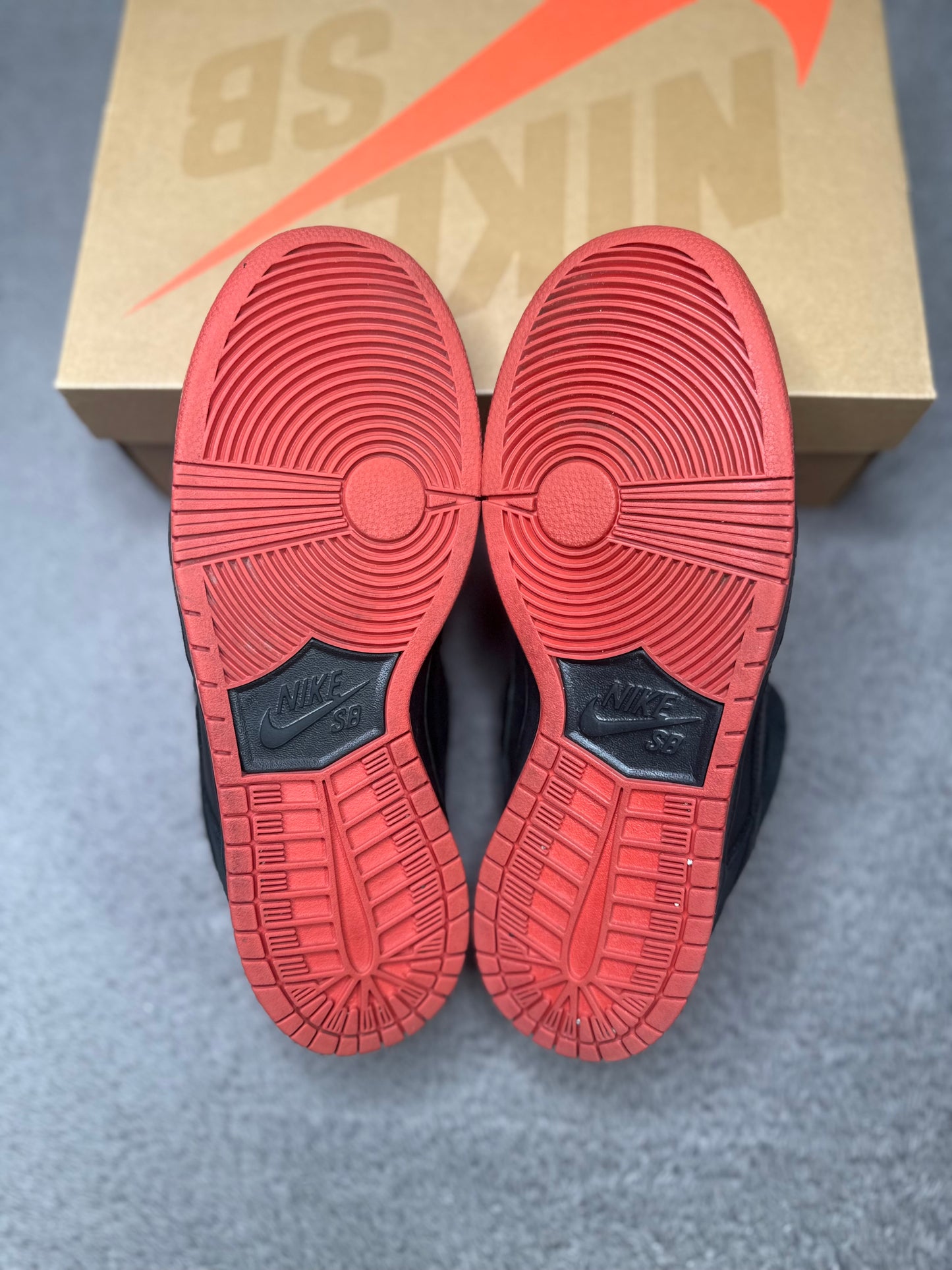 BLACK PIGEON (9.5)