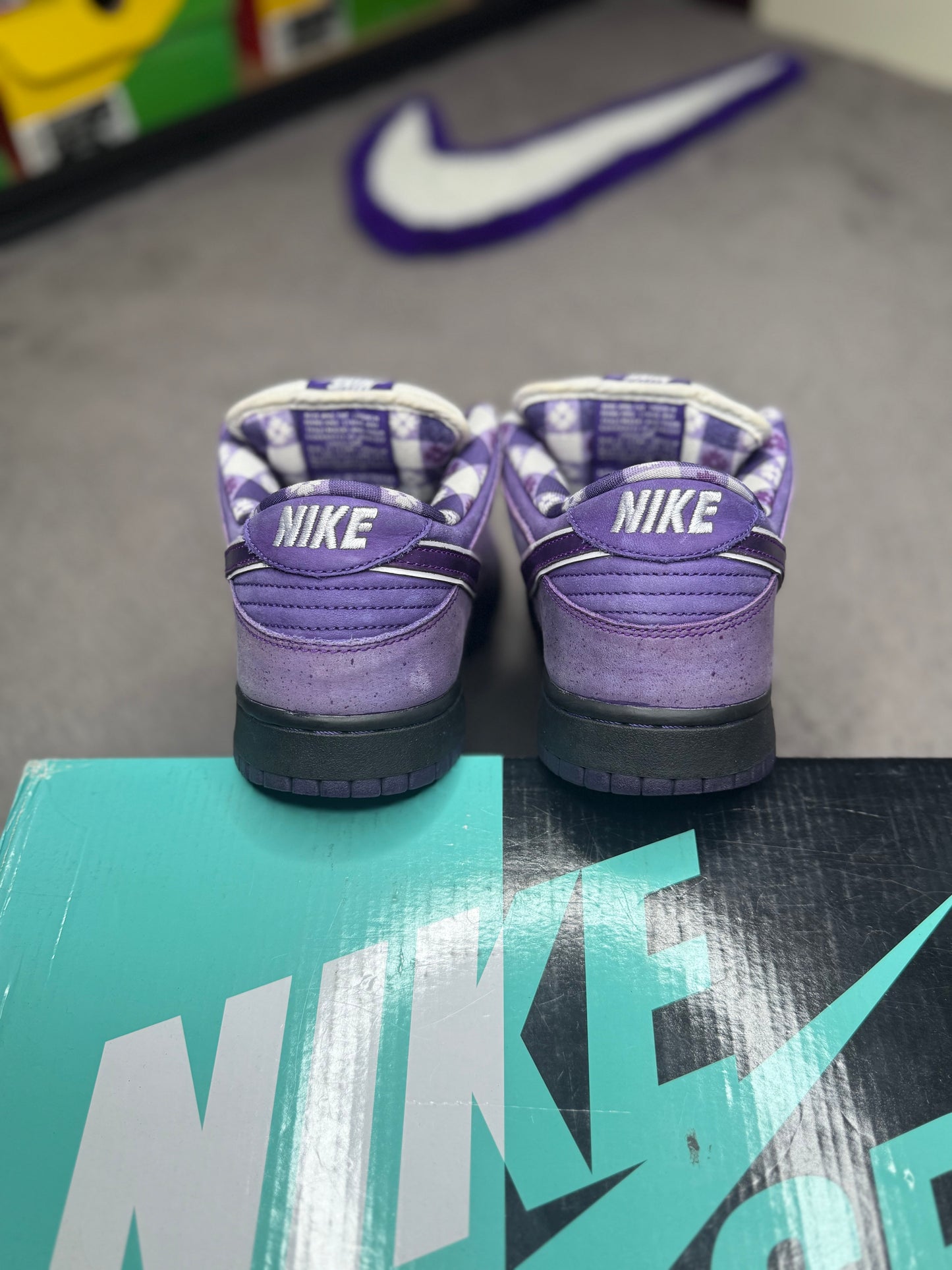 PURPLE LOBSTER