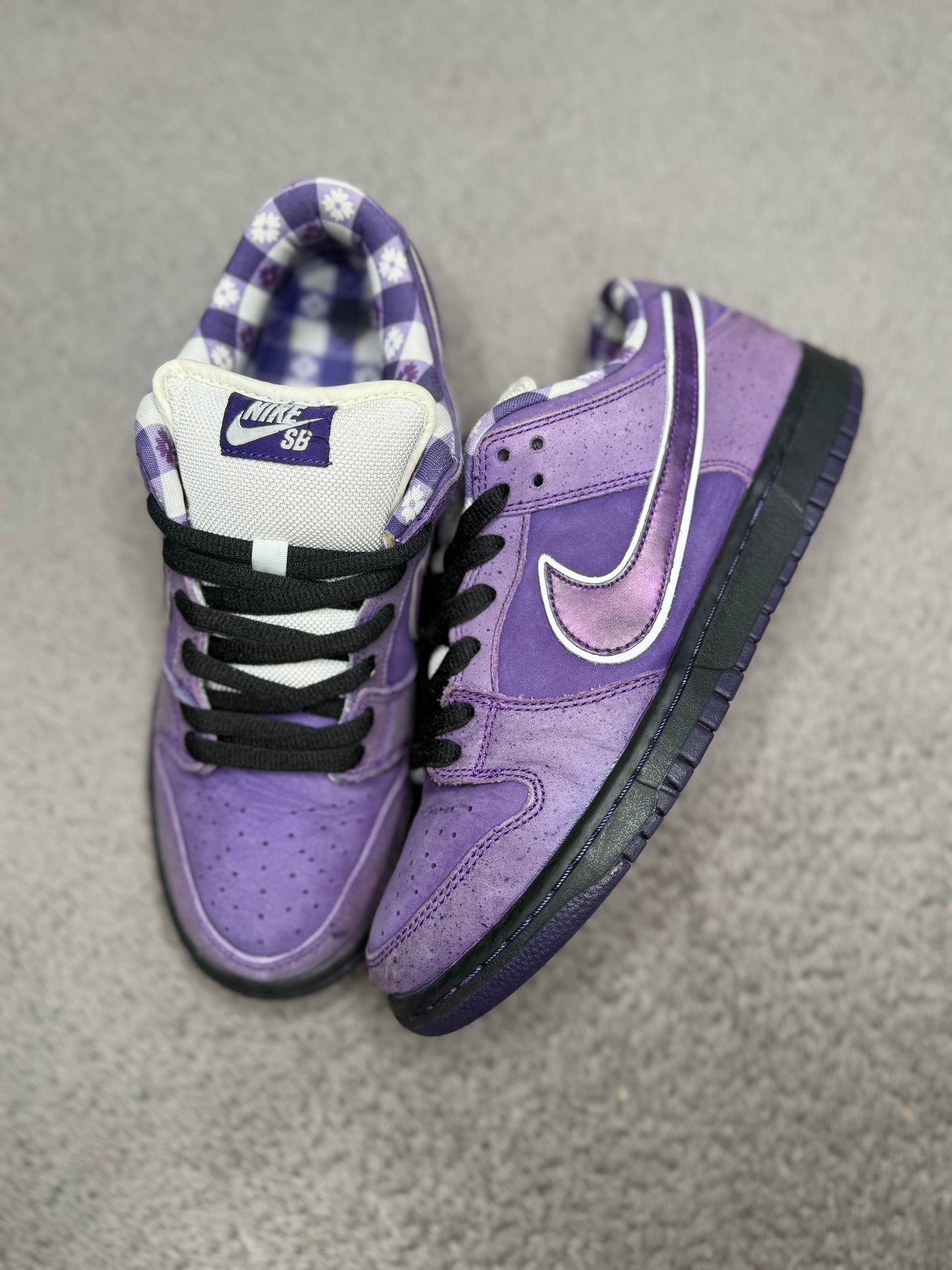 PURPLE LOBSTER