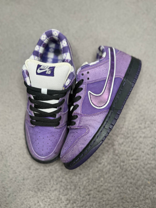 PURPLE LOBSTER