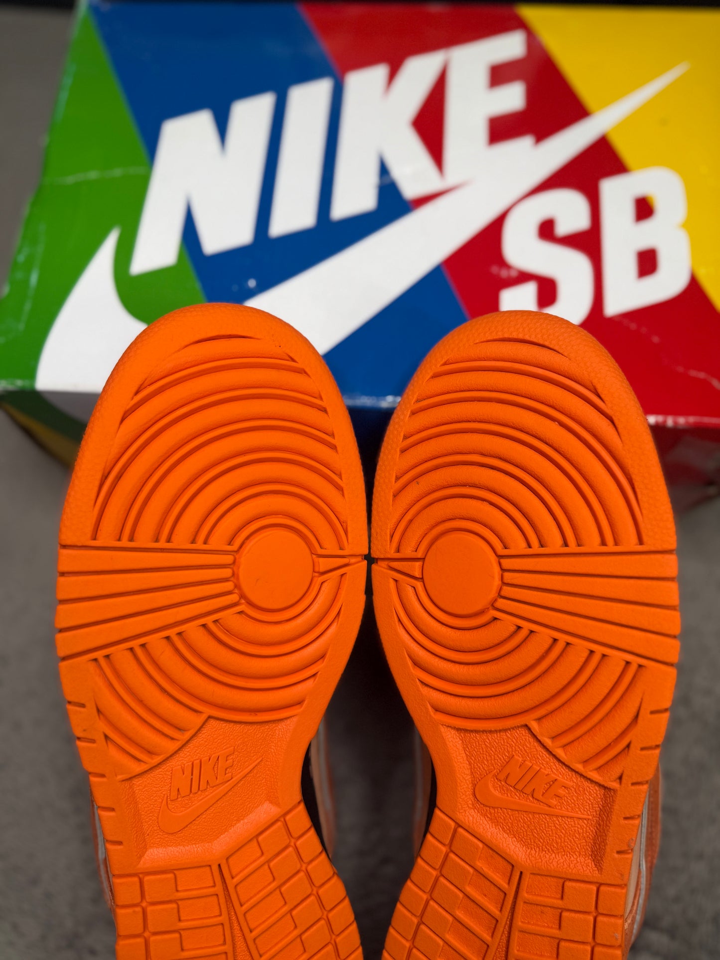 ORANGE LOBSTER (10)