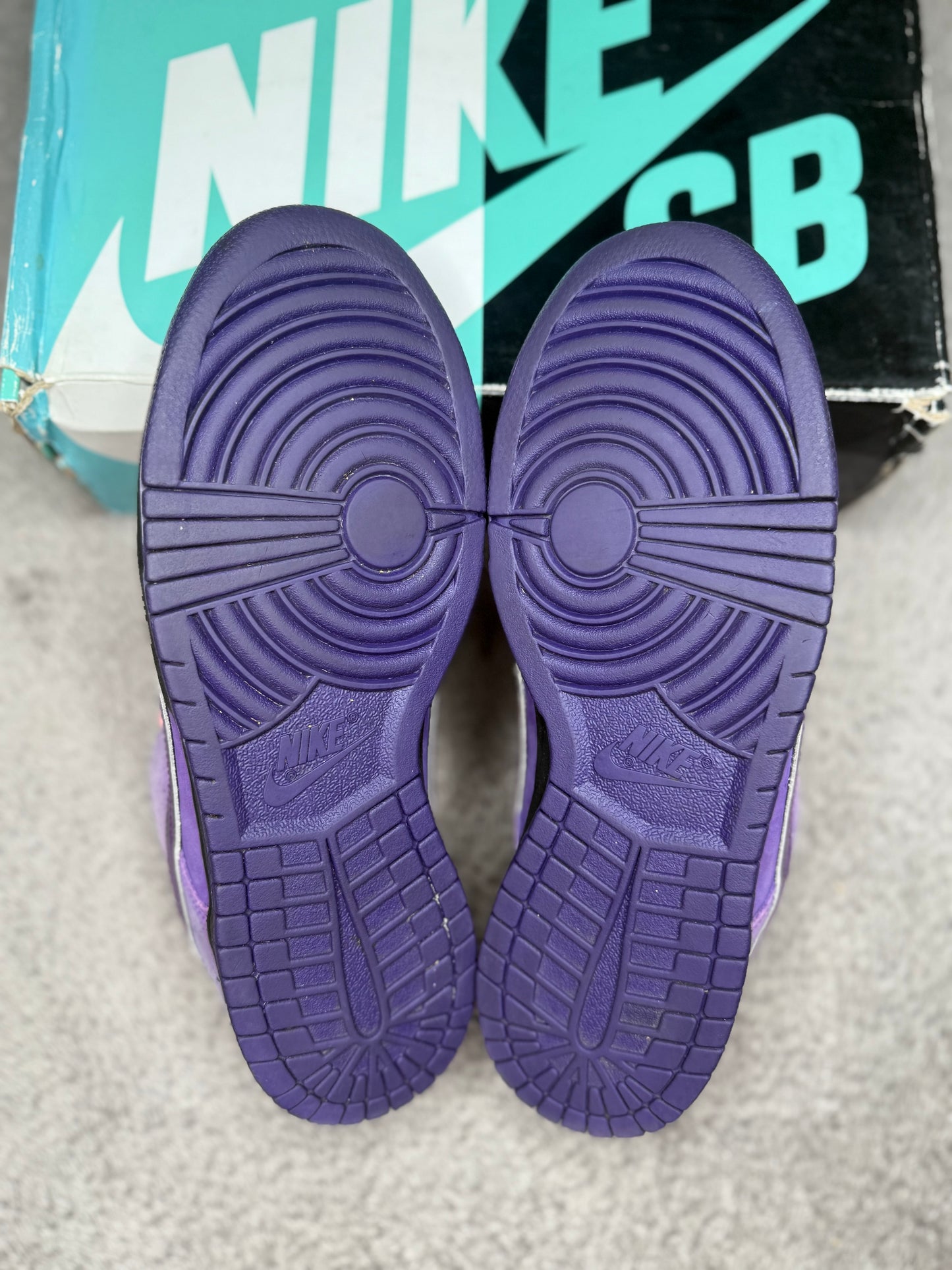 PURPLE LOBSTER