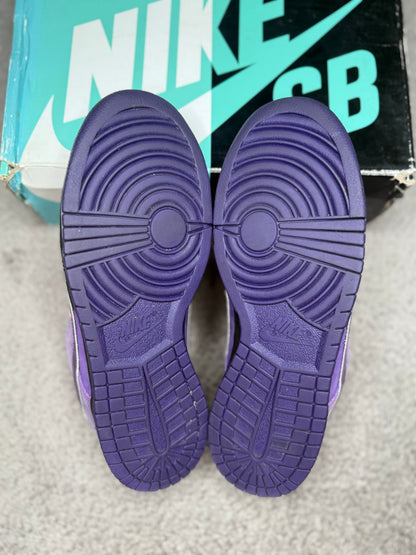 PURPLE LOBSTER