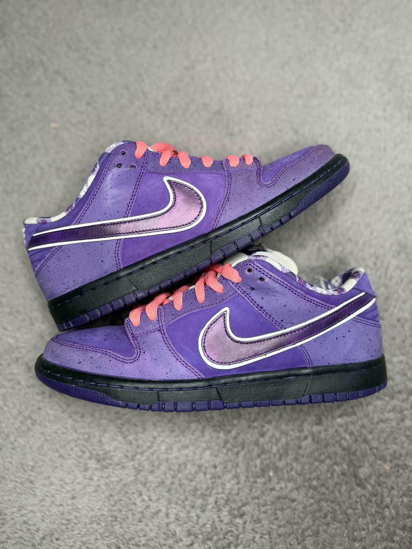 PURPLE LOBSTER
