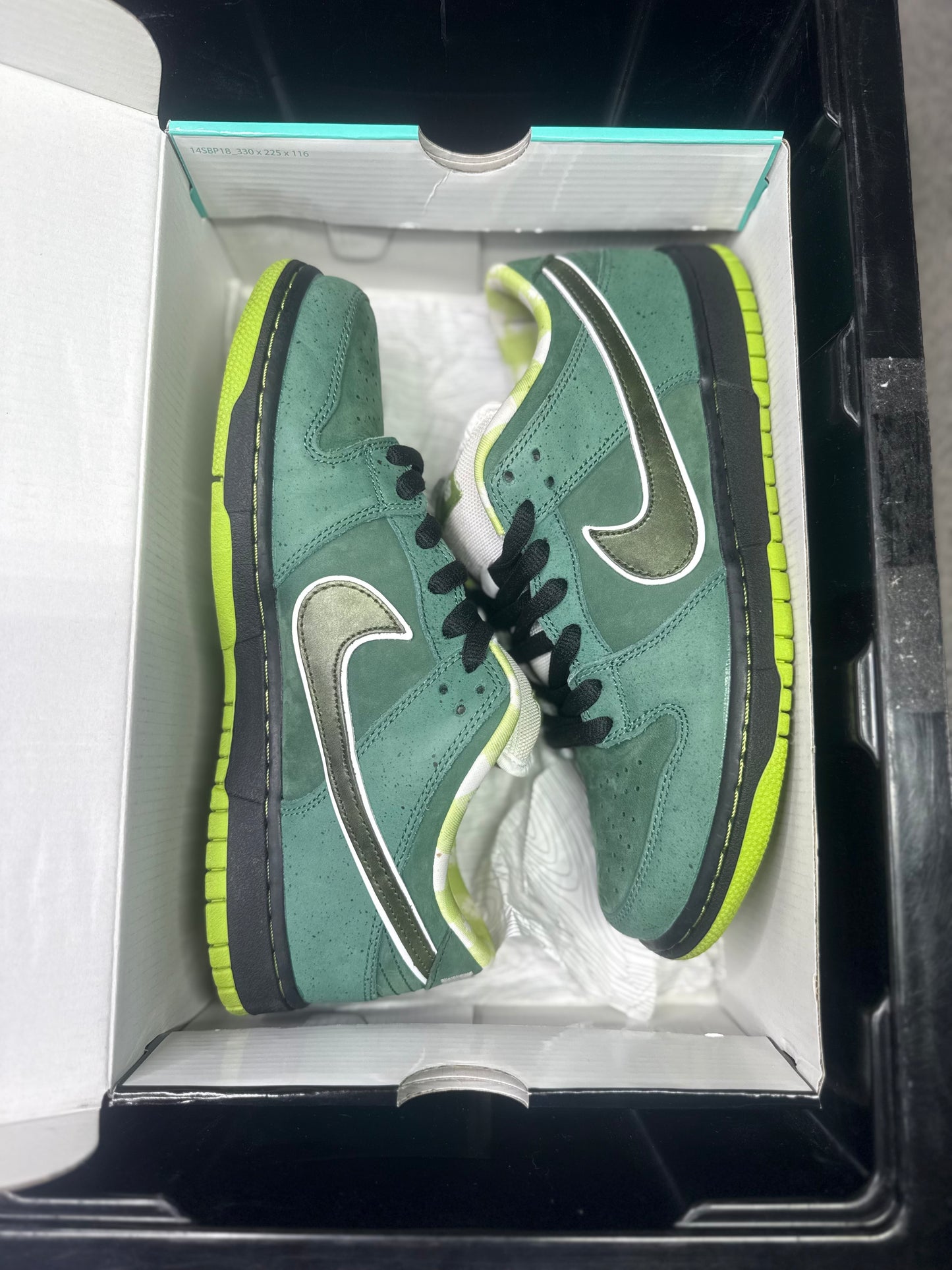 GREEN LOBSTER SPECIAL BOX (9.5)