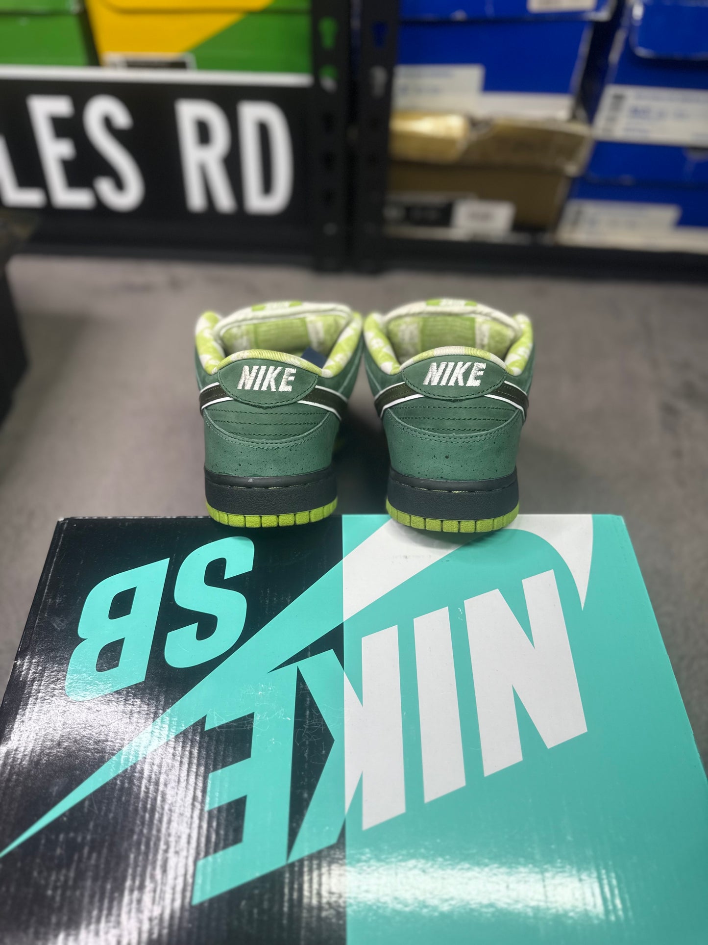 GREEN LOBSTER SPECIAL BOX (9.5)