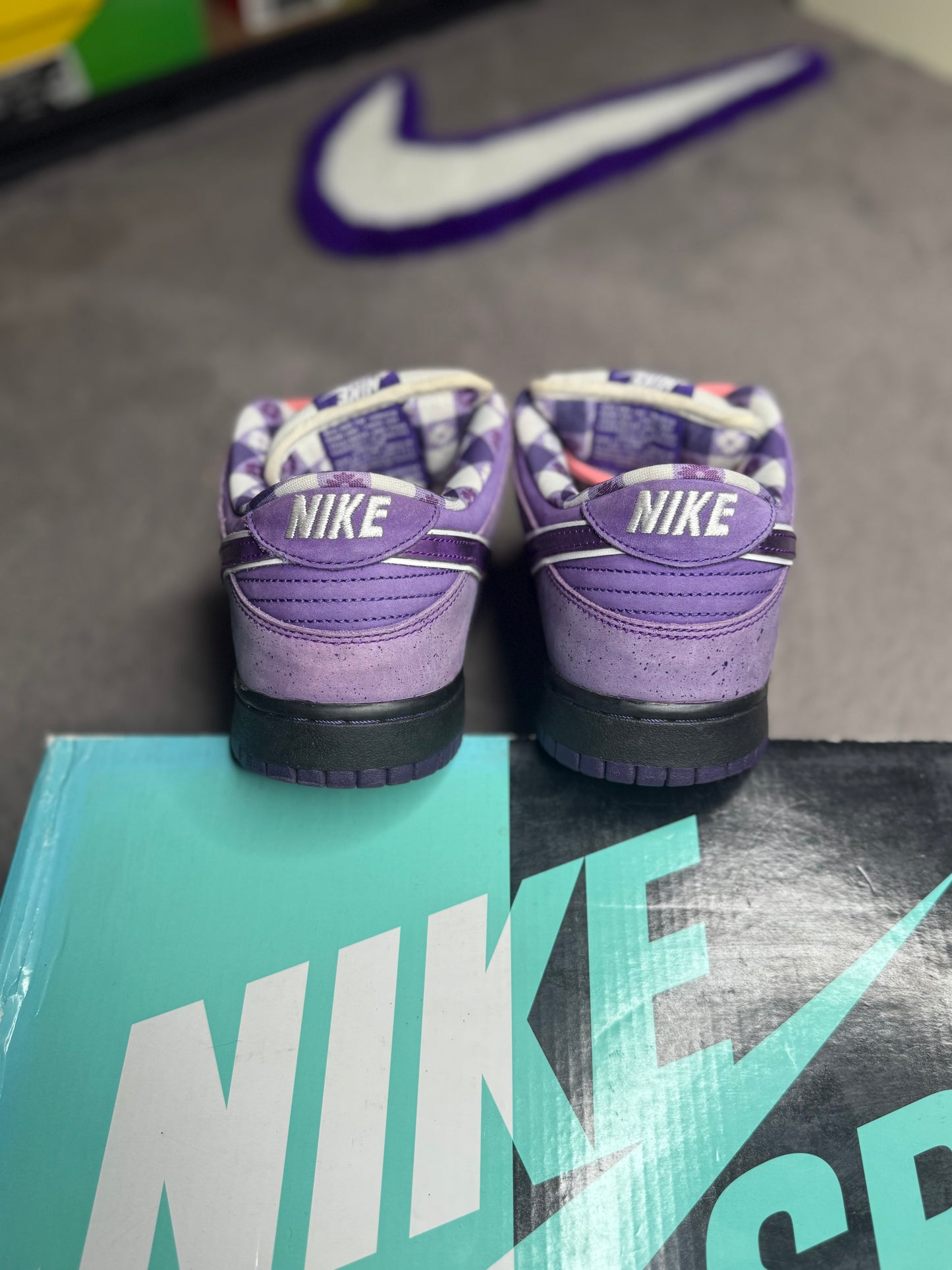 PURPLE LOBSTER