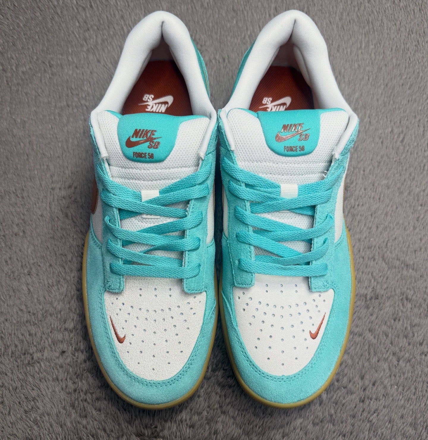 SB 58 DUSTY CACTUS (10)