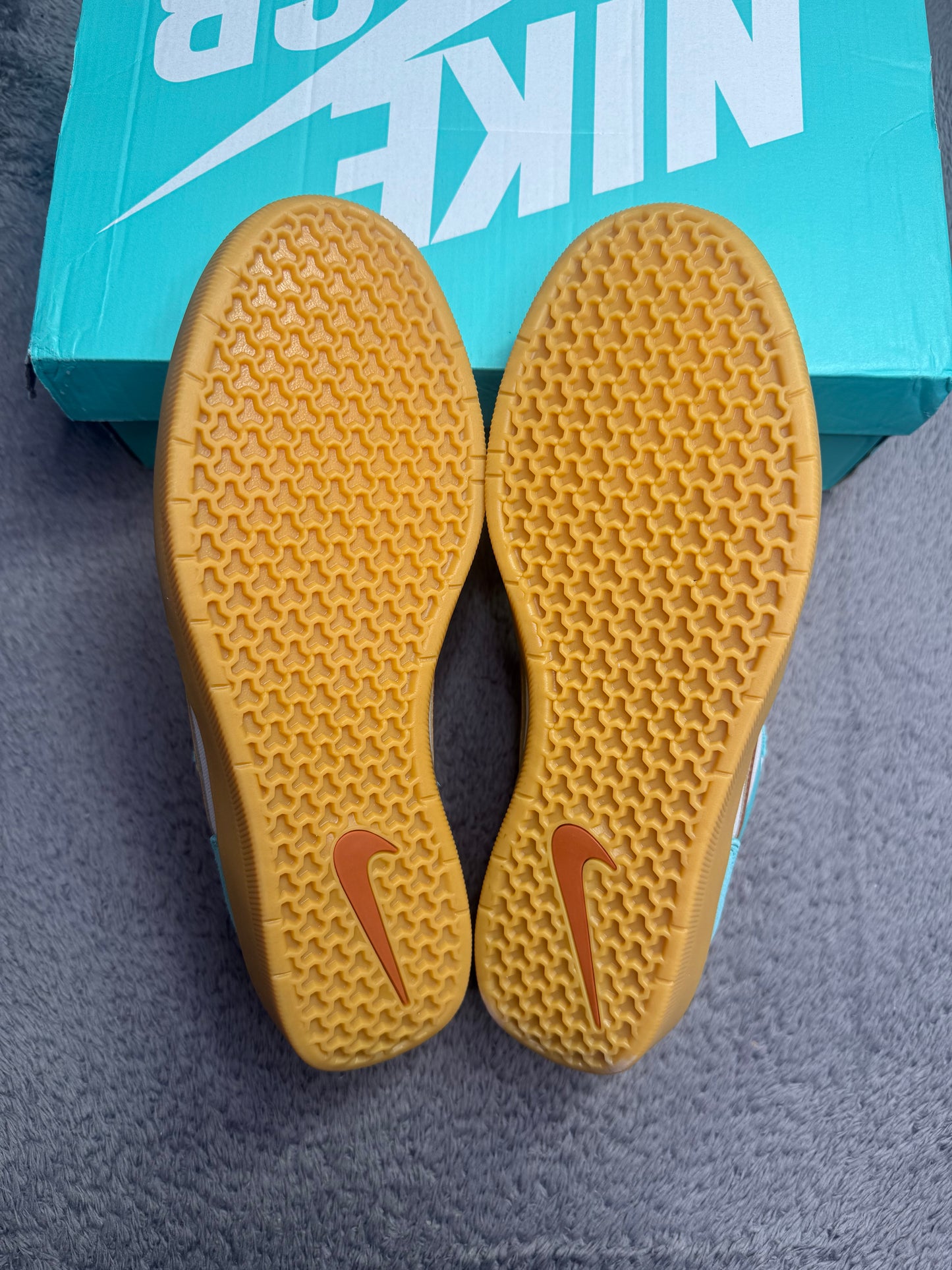 SB 58 DUSTY CACTUS (10)