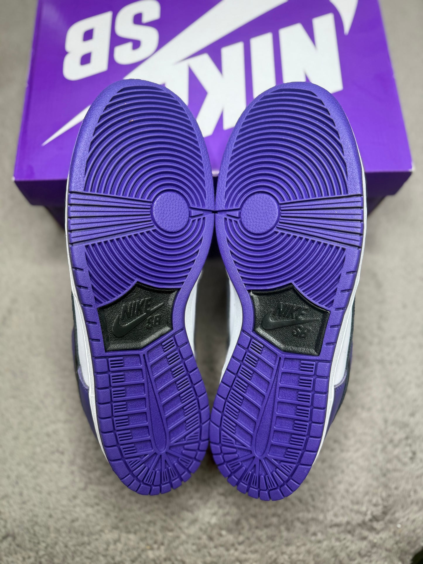 COURT PURPLE