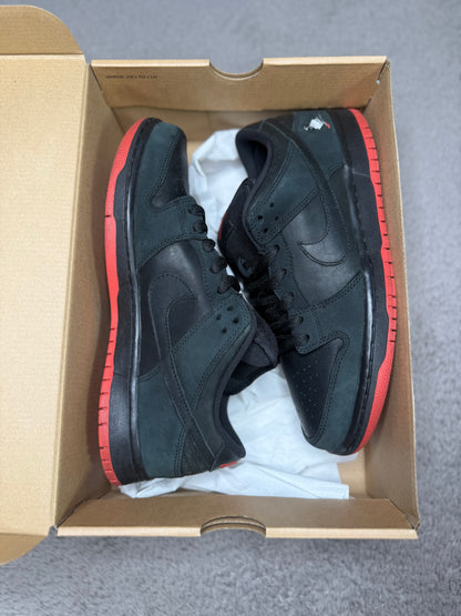 BLACK PIGEON (9.5)