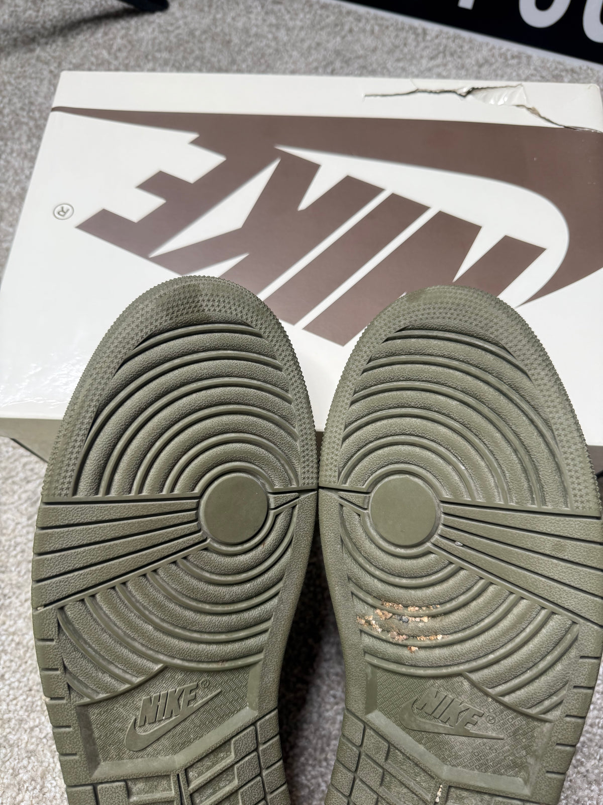 MEDIUM OLIVE (12)