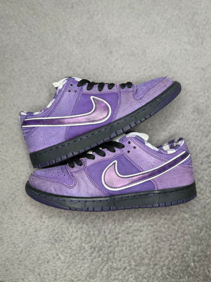 PURPLE LOBSTER