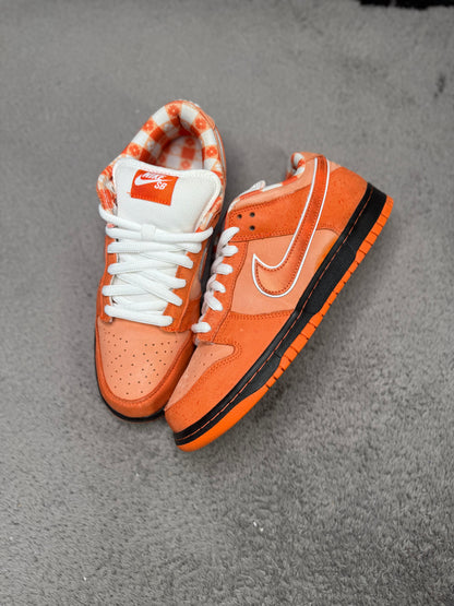 ORANGE LOBSTER (10)