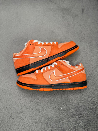 ORANGE LOBSTER (10)