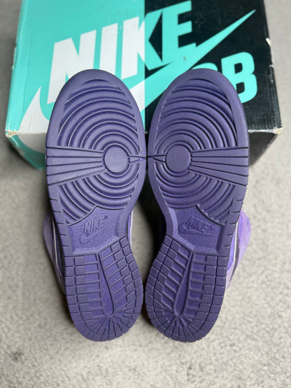 PURPLE LOBSTER