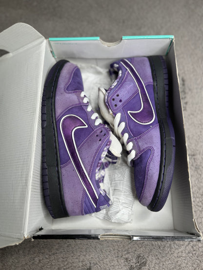 PURPLE LOBSTER