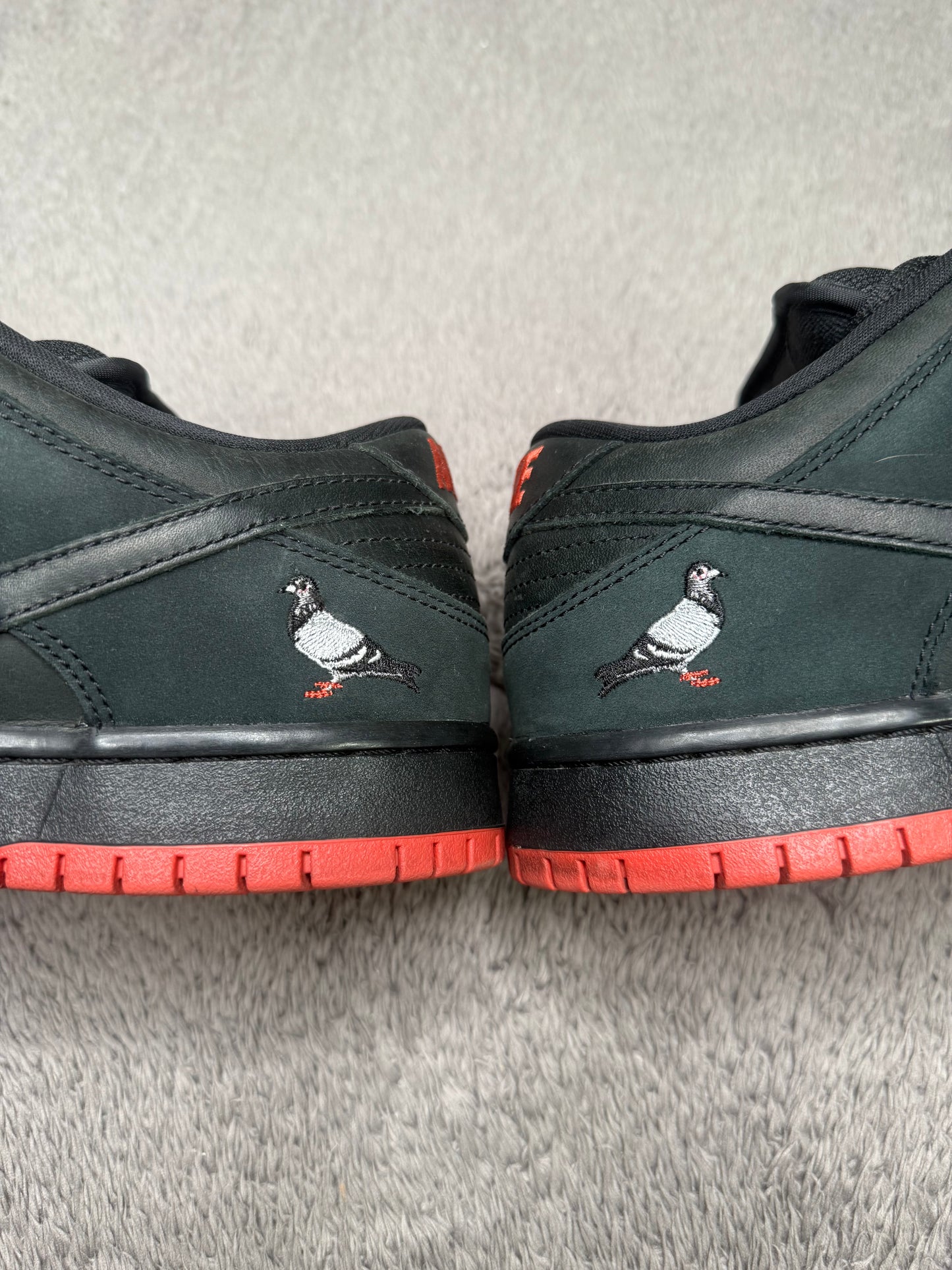 BLACK PIGEON (9.5)