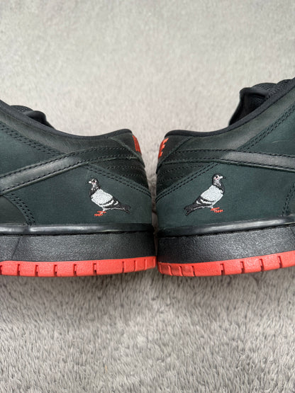 BLACK PIGEON (9.5)